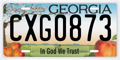 GA license plate CXG0873