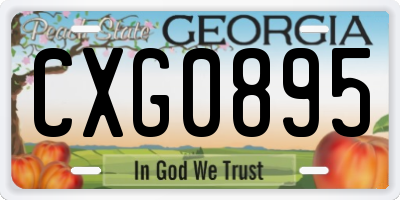 GA license plate CXG0895