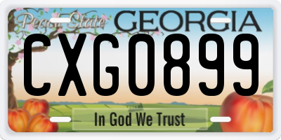 GA license plate CXG0899