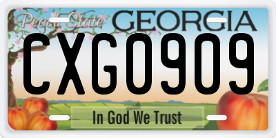 GA license plate CXG0909