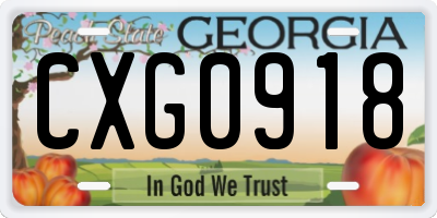 GA license plate CXG0918