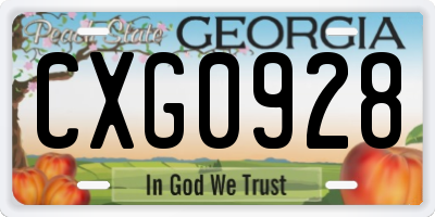 GA license plate CXG0928