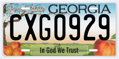 GA license plate CXG0929