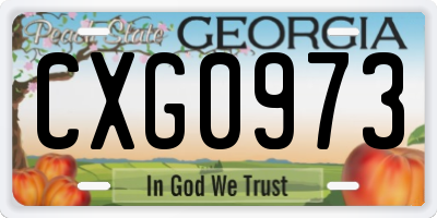 GA license plate CXG0973