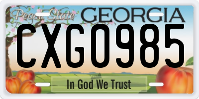 GA license plate CXG0985