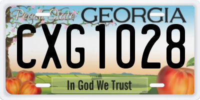 GA license plate CXG1028