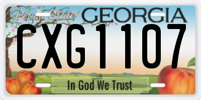 GA license plate CXG1107
