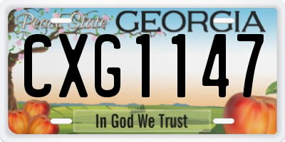 GA license plate CXG1147