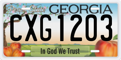 GA license plate CXG1203