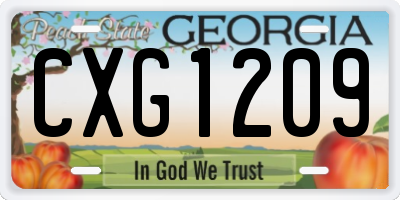 GA license plate CXG1209
