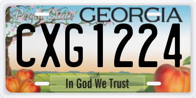 GA license plate CXG1224