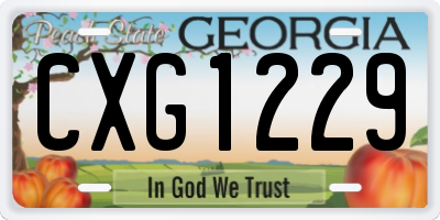 GA license plate CXG1229