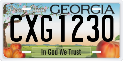 GA license plate CXG1230