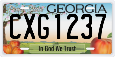GA license plate CXG1237