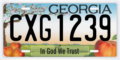 GA license plate CXG1239