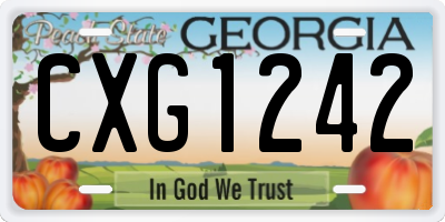 GA license plate CXG1242