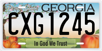 GA license plate CXG1245