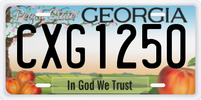 GA license plate CXG1250