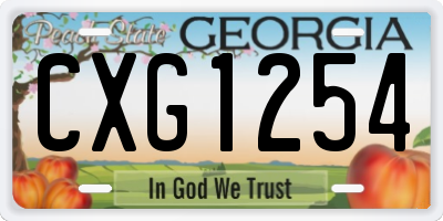 GA license plate CXG1254