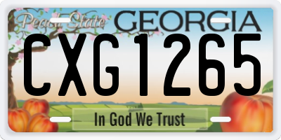 GA license plate CXG1265