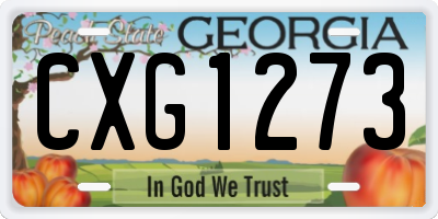 GA license plate CXG1273
