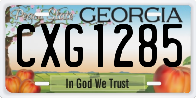 GA license plate CXG1285