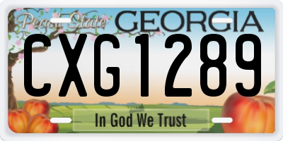 GA license plate CXG1289