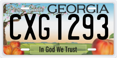 GA license plate CXG1293