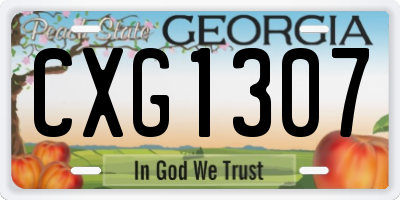 GA license plate CXG1307