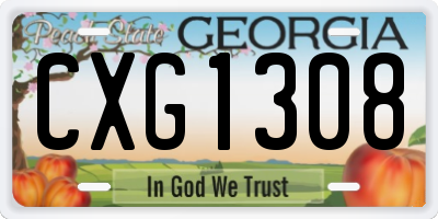 GA license plate CXG1308