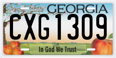 GA license plate CXG1309