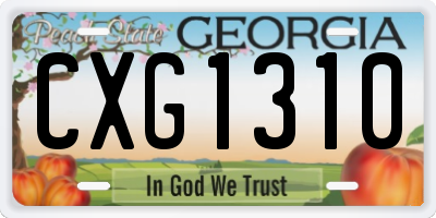 GA license plate CXG1310
