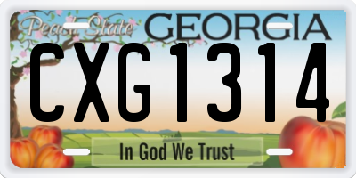 GA license plate CXG1314