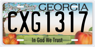 GA license plate CXG1317