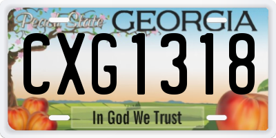GA license plate CXG1318