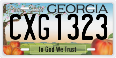 GA license plate CXG1323