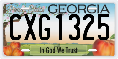 GA license plate CXG1325