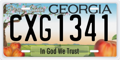 GA license plate CXG1341