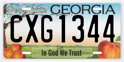 GA license plate CXG1344