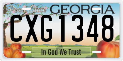 GA license plate CXG1348