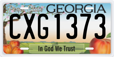 GA license plate CXG1373