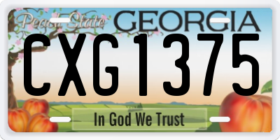 GA license plate CXG1375