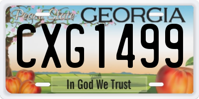 GA license plate CXG1499