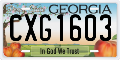 GA license plate CXG1603