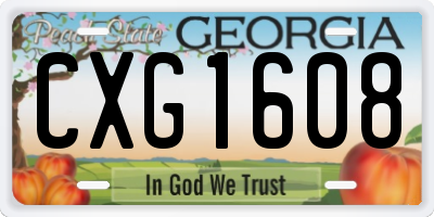 GA license plate CXG1608