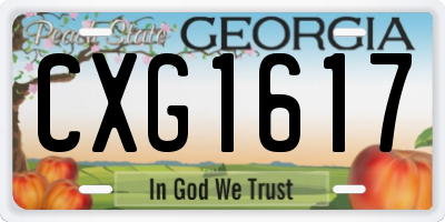 GA license plate CXG1617