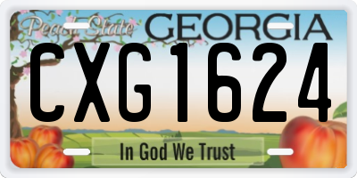 GA license plate CXG1624