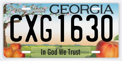 GA license plate CXG1630