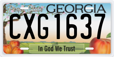 GA license plate CXG1637