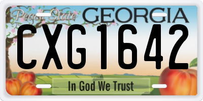 GA license plate CXG1642
